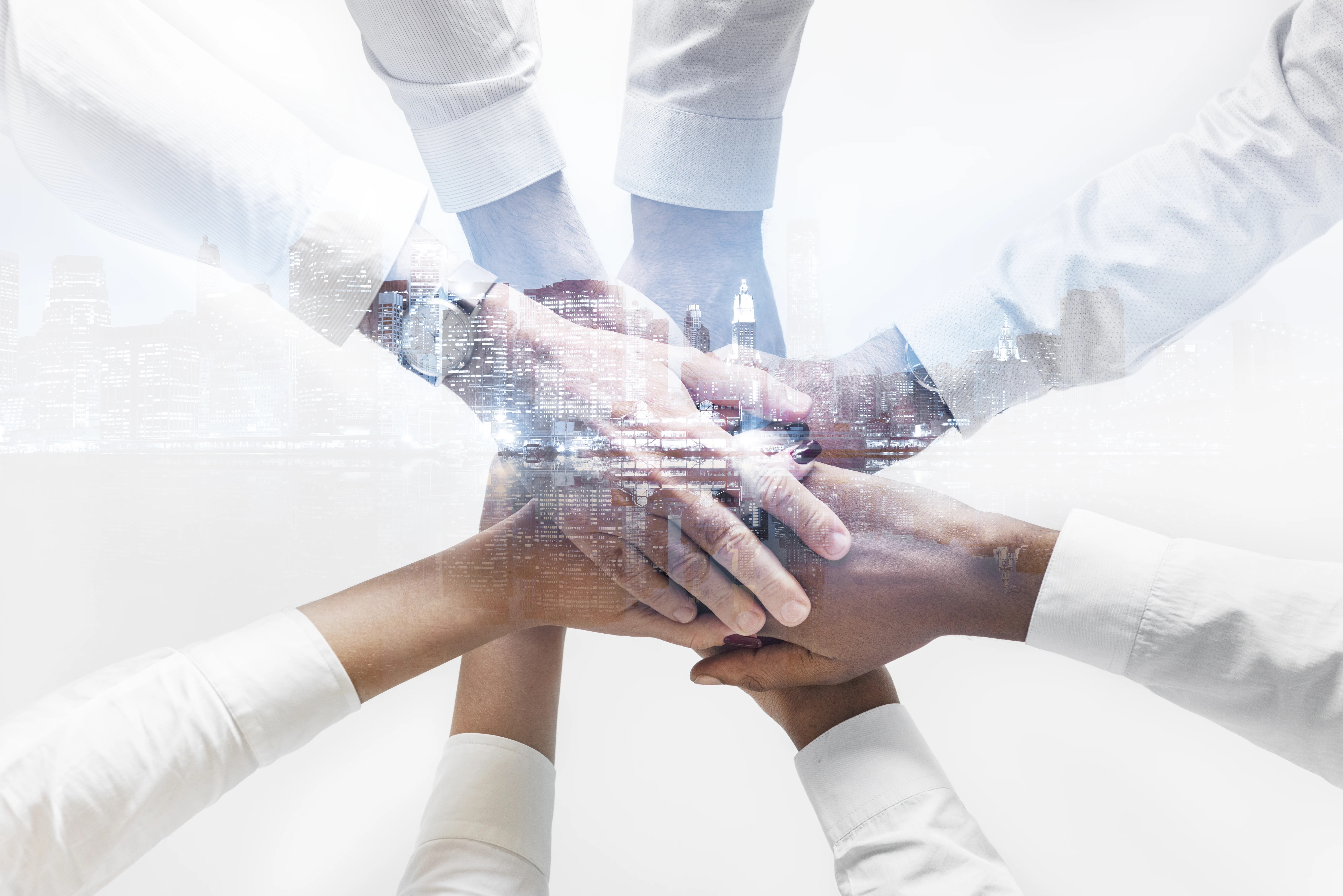 Agam specialists collaborating on a client engagement